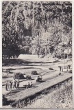 Bnk cp Slanic Moldova - Vedere din parc - circulata, Printata