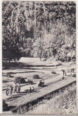 bnk cp Slanic Moldova - Vedere din parc - circulata