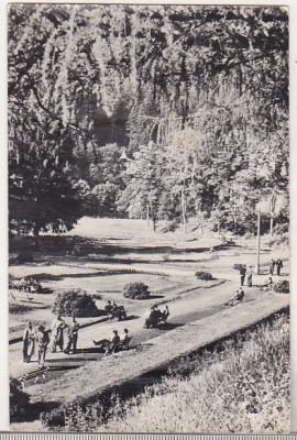 bnk cp Slanic Moldova - Vedere din parc - circulata foto