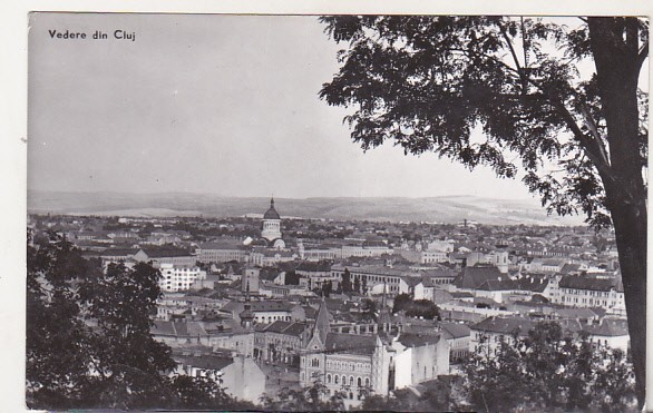 bnk cp Cluj - Vedere - circulata