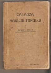 Anghel Julea-Calauza Agricultorului 1929 foto