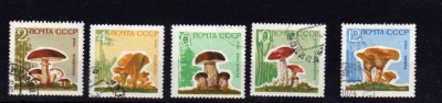RUSIA CCCP 1964 CIUPERCI 5 VALORI STAMPILATA foto