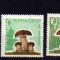RUSIA CCCP 1964 CIUPERCI 5 VALORI STAMPILATA