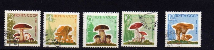 RUSIA CCCP 1964 CIUPERCI 5 VALORI STAMPILATA