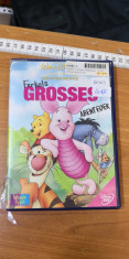 Film DVD Ferkels grosses Abenteuer (56163GAB) foto