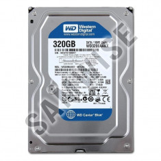 Hard disk 320GB WESTERN DIGITAL BLUE SATA3, Buffer 16MB, WD3200AAKX foto