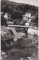 Foto  - 1