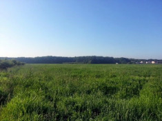 Teren 1000 mp intravilan in localitatea Cernica-livada, Jud Ilfov foto