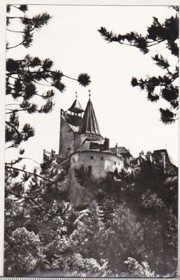 bnk cp Cetatea Bran - Vedere - circulata foto