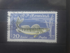 Romania,1960,Lp 510 a,Piscicultura,eroare &amp;quot;baini&amp;quot;,circulata foto