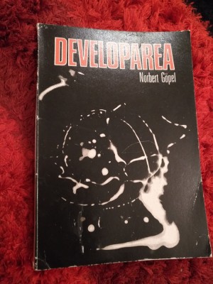 Developarea - Norbert Gopel Rg foto