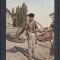 VANZATOR DE FRUCTE CIRCULATA 1918