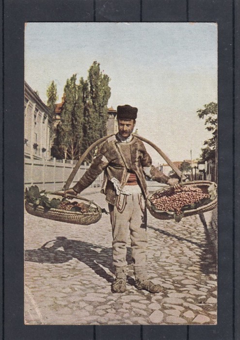 VANZATOR DE FRUCTE CIRCULATA 1918