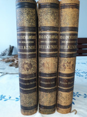 REAL-ENCYCLOPADIE DER GESAMMTEN HEILKUNDE (II, XI, XIII) 1887 foto