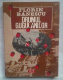 (C382) FLORIN BANESCU - DRUMUL GUGULANILOR