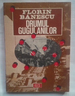 (C382) FLORIN BANESCU - DRUMUL GUGULANILOR foto