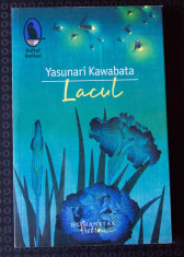 Yasunari Kawabata - Lacul foto