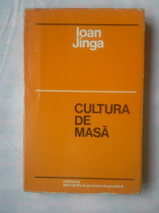 (C382) IOAN JINGA - CULTURA DE MASA foto