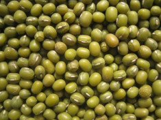 TRS MUNG WHOLE (MUNG BEANS) 5KG foto