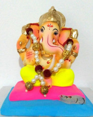 Immersion Ganesha 7.5 inch foto