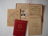 Lot de 4 legitimatii pe acelasi nume, Romania de la 1950