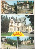 Bnk cp Sinaia - Vedere - circulata, Printata