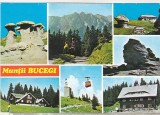 Bnk cp Muntii Bucegi - Vedere - circulata, Printata, Prahova