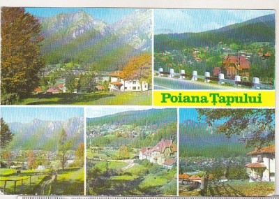bnk cp Poiana Tapului - Vedere - circulata foto