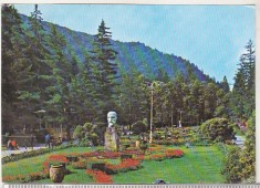 bnk cp Slanic Moldova - Vedere din parc - circulata