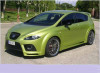 Pleoape faruri Seat Leon 1P