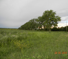 Teren de vanzare, Floresti, prin agentia Matos Imobiliare foto