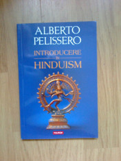 d1b Introducere in hinduism - Alberto Pelissero foto