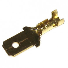 Generic CONECTOR PAPUC TATA 6.3MM foto