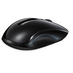 Mouse Rapoo 7200P Optic Wireless Notebook Black foto