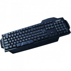 Tastatura Newmen E370, Multimedia, Wired, USB, Neagra foto