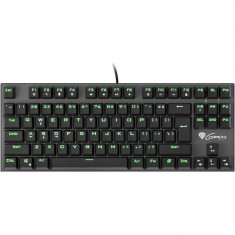 Tastatura Gaming Mecanica Natec Genesis Thor 300 Tkl Green Blue foto