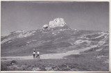 Bnk foto - Muntii Bucegi - 1964 - lot 5 fotografii, Alb-Negru, Romania de la 1950, Natura