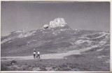 Bnk foto - Muntii Bucegi - 1964 - lot 5 fotografii, Alb-Negru, Romania de la 1950, Natura