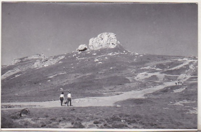 bnk foto - Muntii Bucegi - 1964 - lot 5 fotografii foto