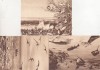 Carte Postala Bucuresti - Muzeul Antipa - Diorame - Lot 3 Buc. Necirculate - Muntenia