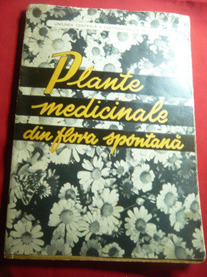 C.Constantinescu si A.Agopian - Plante Medicinale din Flora Spontana - Ed. 1962 foto