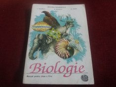 MANUAL BIOLOGIE ZOOLOGIE CLASA A VI-A foto
