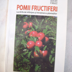 Pomii Fructiferi-lucrari de infiintare si intretinere a plantatiilor