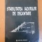 Mircea Florea, Stabilitatea iazurilor de decantare 007