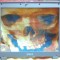 Rama Display - Dell Latitude D400
