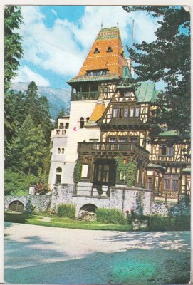 bnk cp Sinaia - Pelisorul - necirculata foto