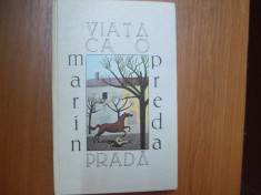 Viata ca o prada Marin Preda Bucuresti 1979 foto