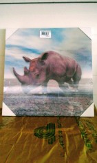 Decorațiune 3D de perete , Rinocer , 29x29 cm, 20 lei foto