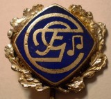 I.797 INSIGNA STICKPIN MUZICA h55mm