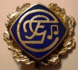 I.797 INSIGNA STICKPIN MUZICA h55mm, Europa